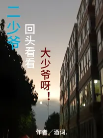 二少爷！回头看看大少爷呀！