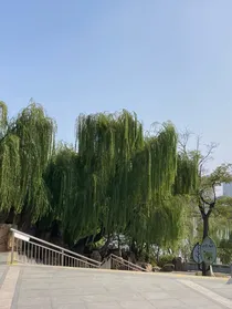 鸿门宴——血染乌江