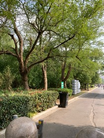 清风拂柳之轩辕沉浮