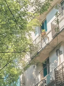 念念有你（小随笔）