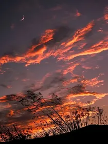 凌华的黑暗求生记