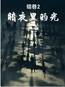 暗巷2暗夜里的光