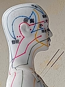 我的中医之路