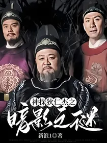 神探狄仁杰之暗影之谜