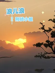 浪儿浪刑侦小组