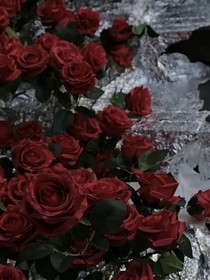 禁忌之花1