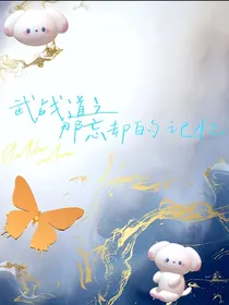武战道之那忘却的记忆