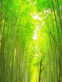 穿越少白又穿越