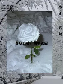 春冬交替，四季轮回