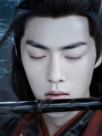 穿越陈情令之与羡羡共赴长情