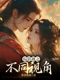 综影视之不同视角