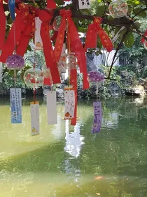 日常碎碎念（打卡专用版）