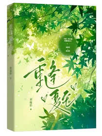 重逢夏至