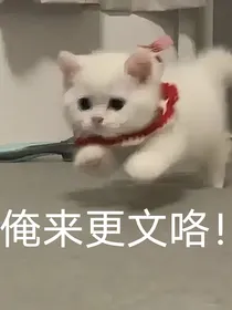 多厨联动：我们穿越到鸣潮世界了？