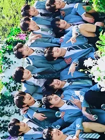 tf家族：联姻