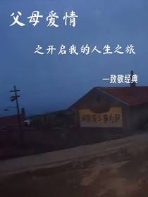 父母爱情之开启我的人生之旅