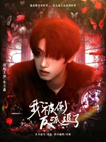 TF三代：重生之我被反派倒追了