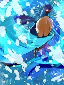 宝可梦从精灵决斗学院开始