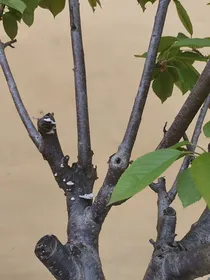 我与我的回忆……