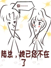 陆总，她已经不在了
