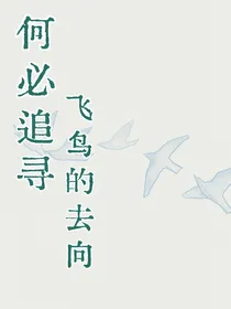 何必追寻飞鸟的去向