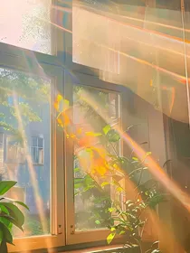 隐世的龙皇