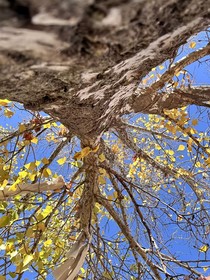 写给他的第365封信