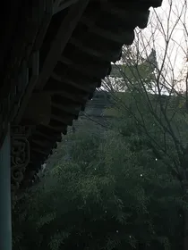 不定时记录日记