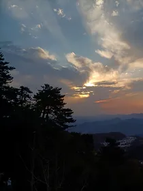 车遥遥