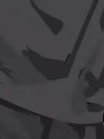 第十三只羽翼