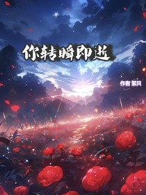 你转瞬即逝