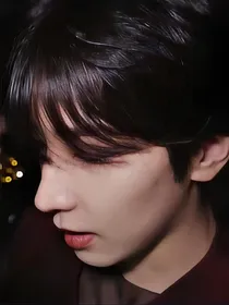 肆意之崔岚浅红秋花月夜