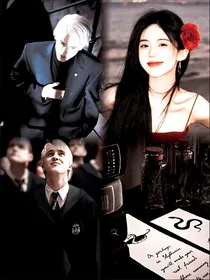 HP：传闻中的巫师小姐