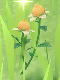 毒汤鸡