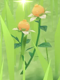 毒汤鸡