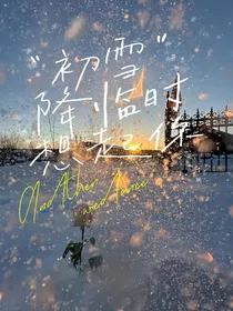 初雪降临时想起你