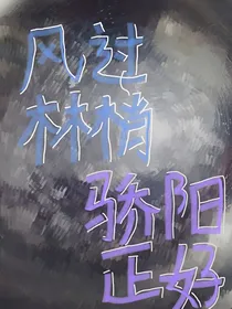 风过林梢，骄阳正好