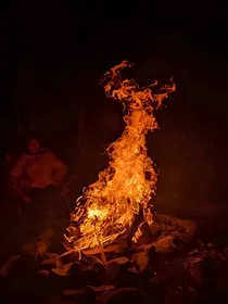 忍者龟之我在纽约