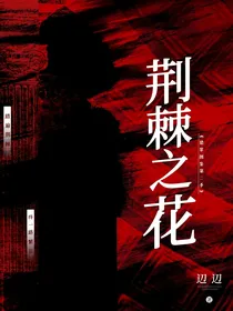 猎罪图鉴2：荆棘之花