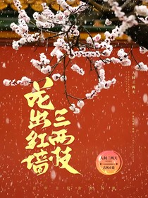 宫廷记——花出红墙三两枝