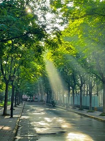 竞争学霸