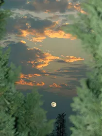 日月同照