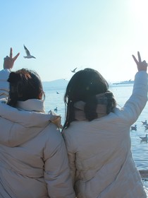 岁月如海友情如歌