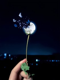 雷安：结缘