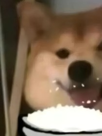 猎罪图鉴X原创剧情