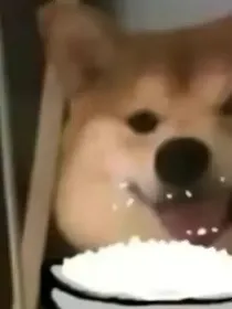 猎罪图鉴X原创剧情