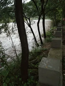 劫后逃生重生之拥有系统的我去当兵无敌了