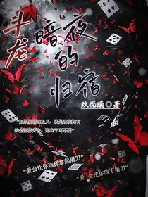 斗龙：夜的归宿