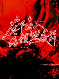 在陷入永恒黑夜前（同人小说）