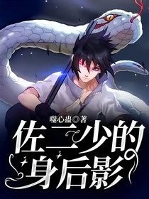 佐二少的身后影